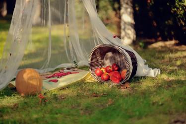 Similar image 5566615