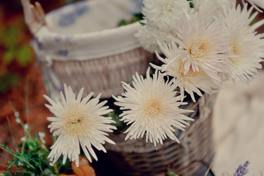 Similar image 5566624