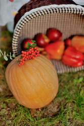 Similar image 5566627