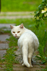 Similar image 5566668