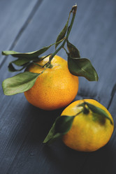 Similar image 5566709