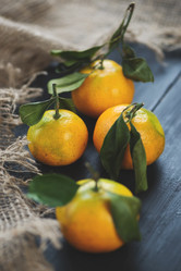 Similar image 5566722