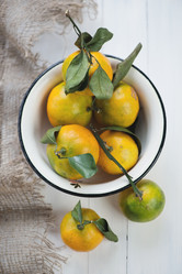 Similar image 5566726