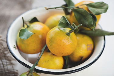 Similar image 5566727