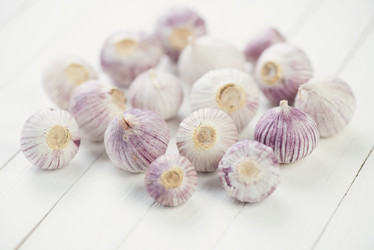 Similar image 5566728