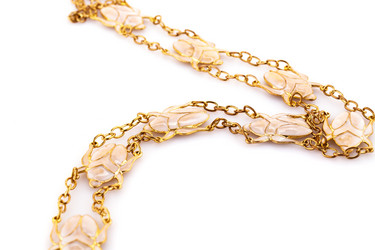 Similar image 5566852