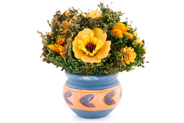 Similar image 5566853