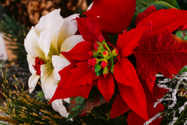 Similar image 5566869