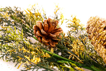 Similar image 5566872