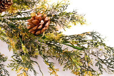 Similar image 5566873