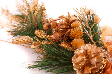 Similar image 5566874