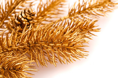 Similar image 5566876