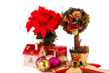 Similar image 5566881