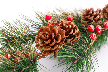 Similar image 5566886