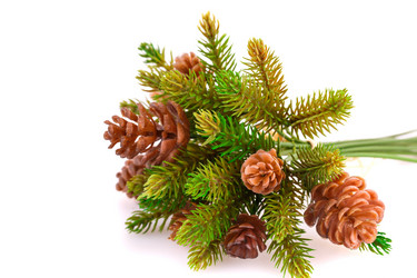 Similar image 5566890