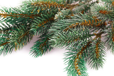 Similar image 5566893