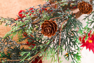 Similar image 5566895