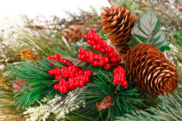 Similar image 5566898