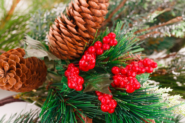 Similar image 5566899