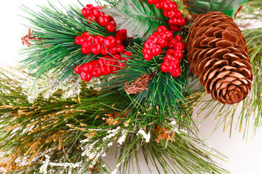 Similar image 5566907