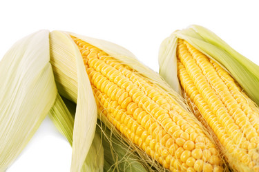 Similar image 5566921