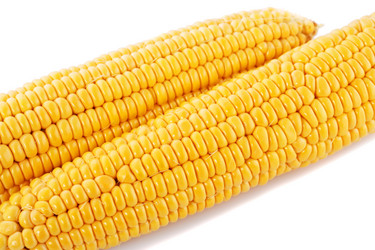 Similar image 5566922