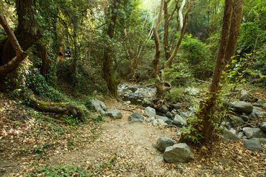 Similar image 5566924