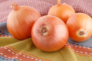 Similar image 5566947