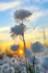 Similar image 5567118