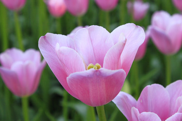 Similar image 5567147