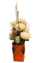 Similar image 5567331