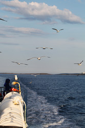 Similar image 5567337