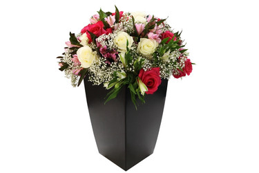 Similar image 5567338