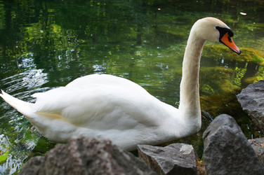 Similar image 5567345