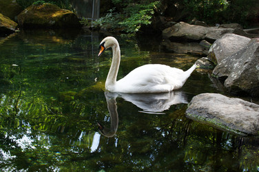 Similar image 5567346