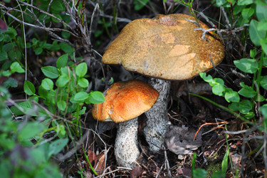 Similar image 5567347