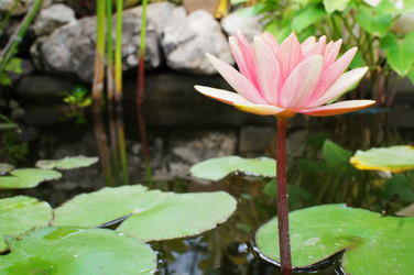 Similar image 5567360