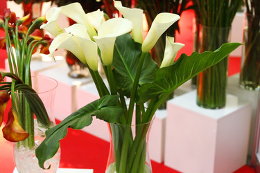 Similar image 5567362