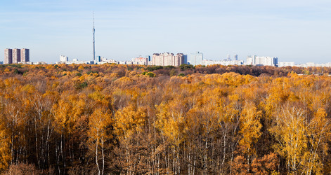 Similar image 5567537