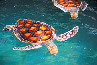 Similar image 5567590