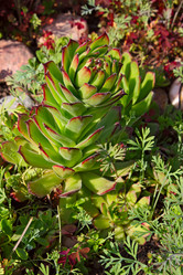 Similar image 5567593