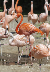 Similar image 5567646