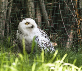 Similar image 5567647