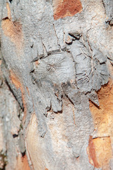 Similar image 5567667