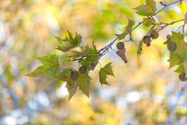 Similar image 5567680