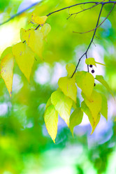 Similar image 5567681