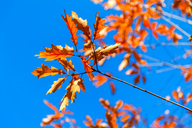 Similar image 5567682