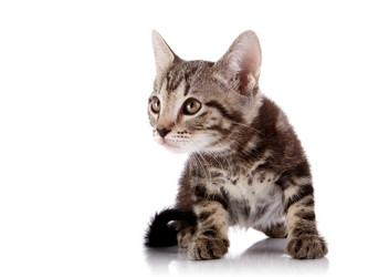 Similar image 5567702