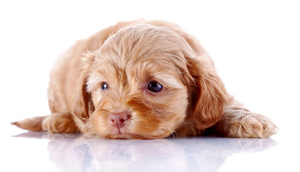 Similar image 5567704