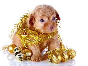 Similar image 5567705